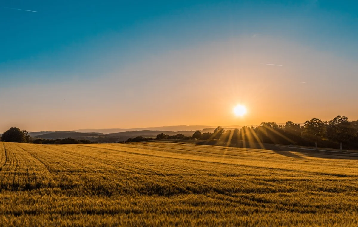 Groupe SIFCA - Solutions Agro-industrielles